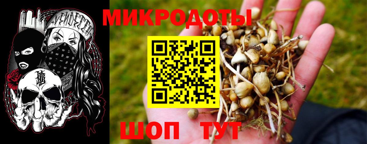 Псилоцибиновые грибы GOLDEN TEACHER  Галлюциногенные грибы ЛСД  Йошкар-Ола  Вход с VPN 