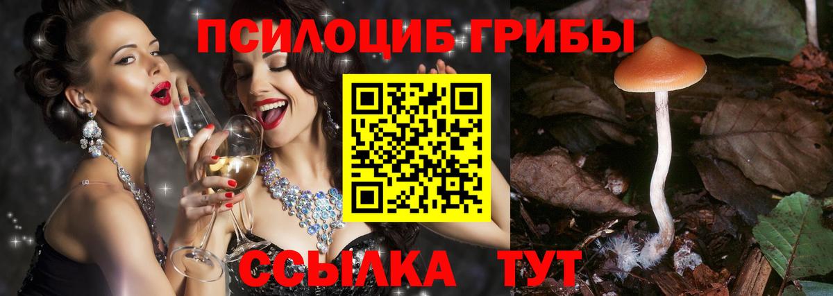 Галлюциногенные грибы ЛСД Йошкар-Ола